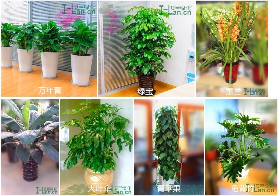 BBIN·宝盈游戏(中国集团)官方网站