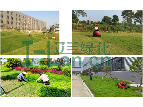 都会园林绿化的要点有哪些？？？？？